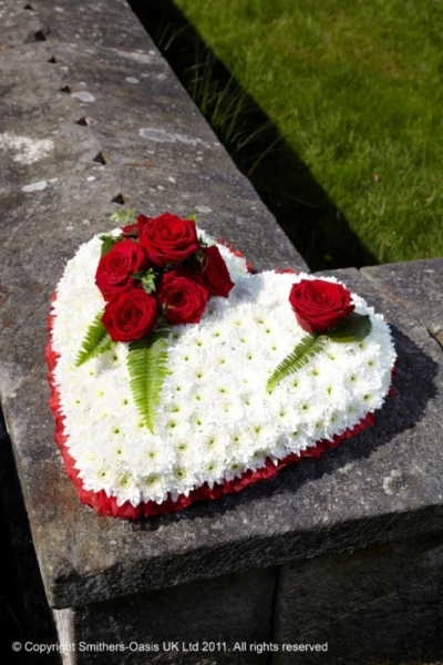 RED AND WHITE HEART - A traditional white chrysanthemum based heart adorned with a red rose and foliage spray.

(Please note this item is only available in our local delivery area. See our delivery page for more information).